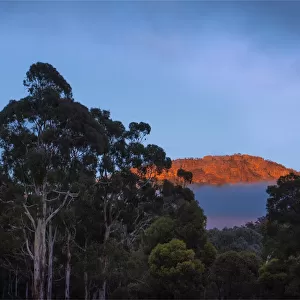 Misty dawn, Grampians, Western Victoria, Australia
