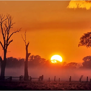 A misty dawn in the rural area of Carrum downs, Victoria, Australia