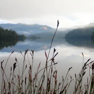 Misty Morning at Lake Tullah