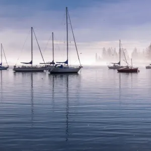 Misty Morning on Pelican Bay Misty Morning on Pelican Bay