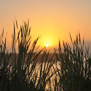 Misty morning sunrise Misty morning sunrise