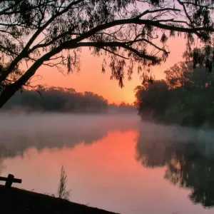 Misty sunrise Misty sunrise