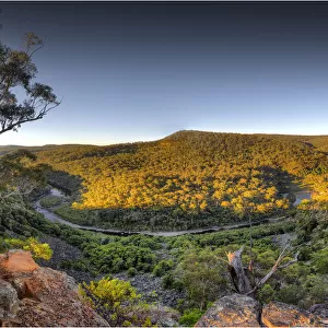 Mitchell river national park, eastern Victoria, Australia