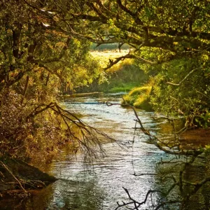 Mole Creek Mole Creek