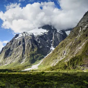 Monkey creek, Milford Sound NZ