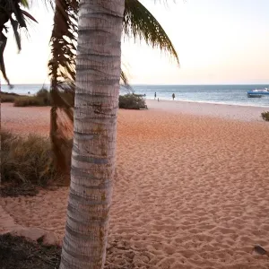 Monkey Mia Beach