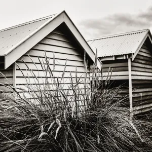 Monochrome Brighton Beach Bathing Boxes