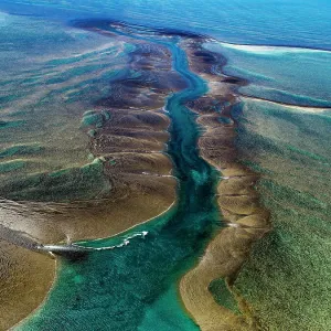 Montgomery Reef Montgomery Reef