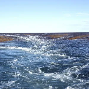 Montgomery Reef, Kimberley WA