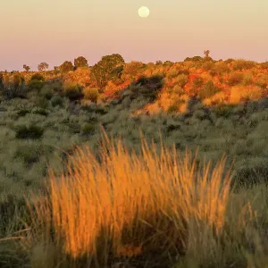 Images Dated 2012 October: 24 Oct 2012