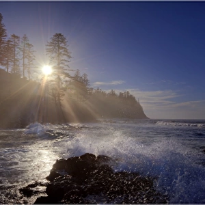 Morning light after dawn along the Norfolk Island coast