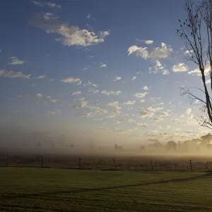 Morning in mudgee