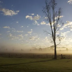 Morning in mudgee Morning in mudgee