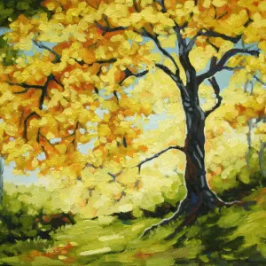 Art Collection: Judi Parkinson