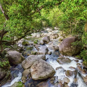 Mossman Gorge, Daintree National Park, Tropical Far North Queensland, Australia