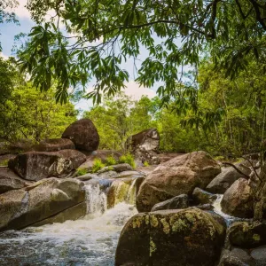 Mossman Gorge Print, Daintree National Park Landscape