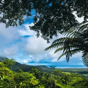 Mount Alexandra Lookout, Daintree National Park, Australia