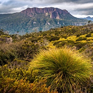 Mount Oakleigh, Overland track, Tasmania