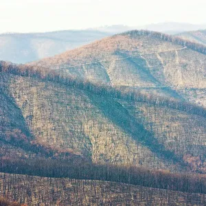 Mount Slide, Kinglake National Park, Victoria, Australia