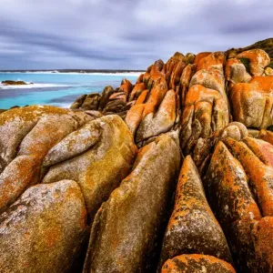 Mount William National Park at Bay of Fires, Tasmania Mount William National Park at Bay of Fires, Tasmania
