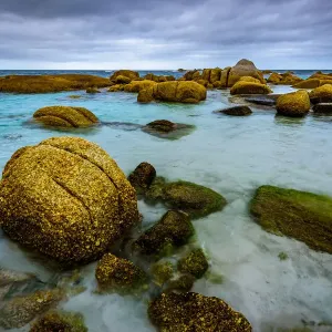 Mount William National Park at Bay of Fires, Tasmania Mount William National Park at Bay of Fires, Tasmania