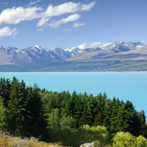 Mt Cook