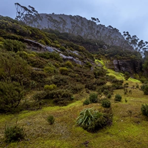 Mt Gould at Overland track, Tasmania