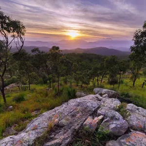 Mt Stuart Sunrise Print with Trees and Rock