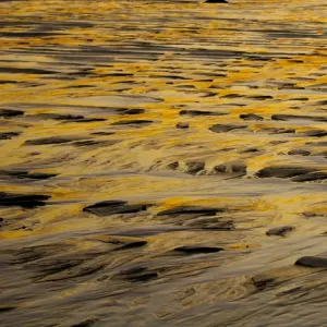 Les Modèles de Marais de Boue Les Modèles de Marais de Boue