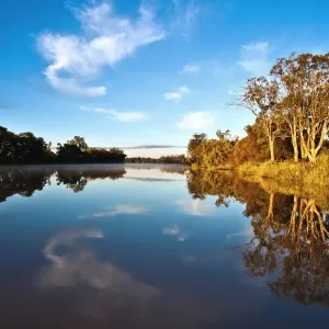 Murray Mirror