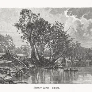 Murray River near Echuca in Australia, wood engraving, published 1897