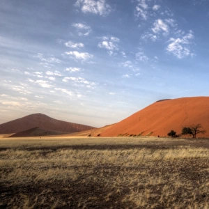 Namibian desert dune 45 morning light