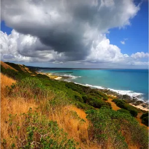 Naracoopa coastline on King Island, Bass Strait, Tasmania, Australia
