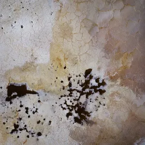 Natural patterns on Lake Tyrrell
