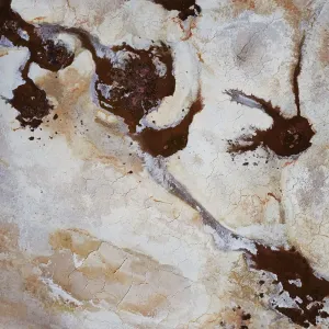 Natural patterns on Lake Tyrrell
