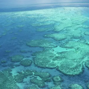Natural Textures of Great Barrier Reef from above, Queensland, Australia