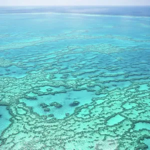 Natural Textures of Great Barrier Reef from above, Queensland, Australia
