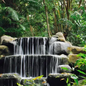 Nature Walk Surprise, Singapore