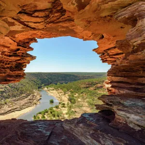 Nature Window