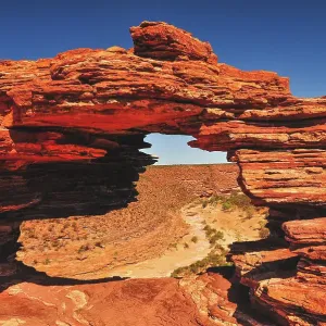 Natures Window