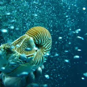 Images Dated 2009 April: 20 Apr 2009