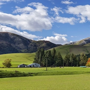 New Zealand farm