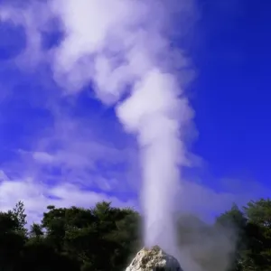 New Zealand, North Island, Waiotapu, Lady Knox Geyser, winter