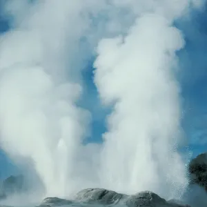 New Zealand, Rotorua, Whakarewarewa, Pohutu and Prince of Wales geysers