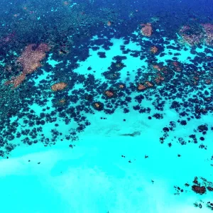 Ningaloo Reef Ningaloo Reef