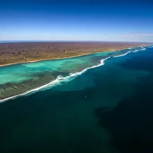 Ningaloo Reef 4