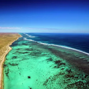 Ningaloo Reef 6