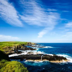 The Nobbies Print at Phillip Island, Victoria