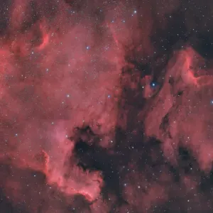 The North America Nebula (NGC 7000 or Caldwell 20)