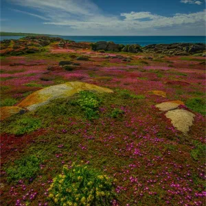 Northern coastline of King Island at Disappointment bay